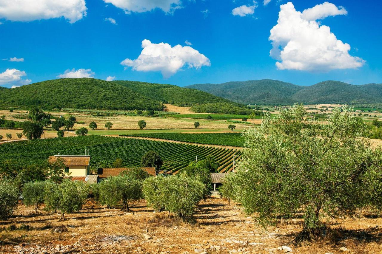 Poggiolivi Agriturismo Bio In Maremma 奥贝里塞 外观 照片
