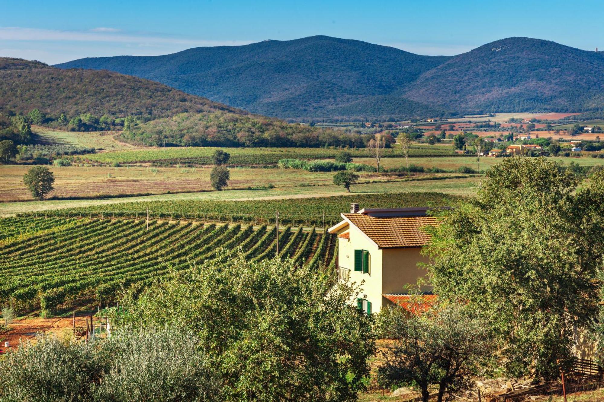 Poggiolivi Agriturismo Bio In Maremma 奥贝里塞 客房 照片