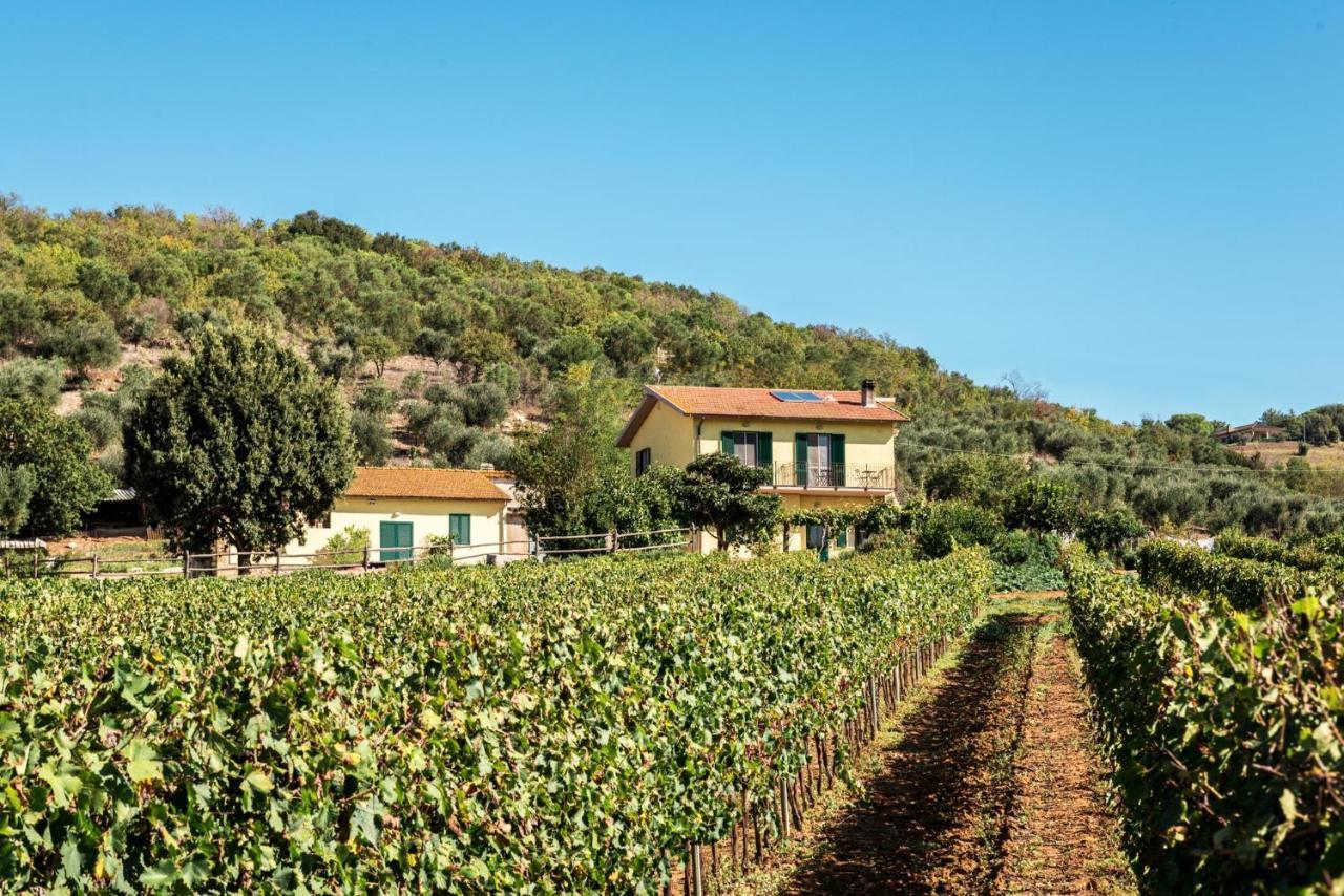 Poggiolivi Agriturismo Bio In Maremma 奥贝里塞 外观 照片